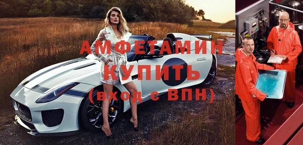 ПСИЛОЦИБИНОВЫЕ ГРИБЫ Горно-Алтайск
