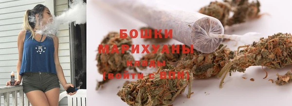 ПСИЛОЦИБИНОВЫЕ ГРИБЫ Горно-Алтайск