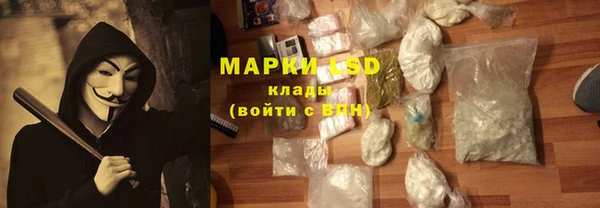 ПСИЛОЦИБИНОВЫЕ ГРИБЫ Горно-Алтайск