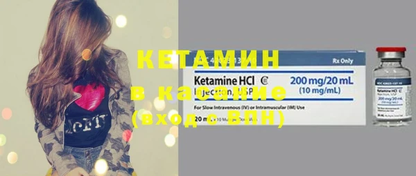 ПСИЛОЦИБИНОВЫЕ ГРИБЫ Горно-Алтайск