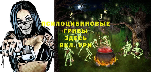первитин Горнозаводск