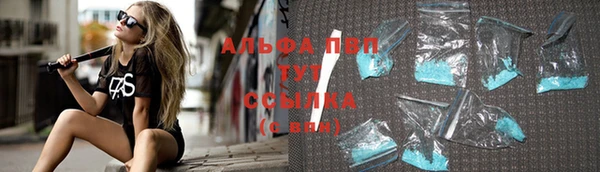 ПСИЛОЦИБИНОВЫЕ ГРИБЫ Горно-Алтайск