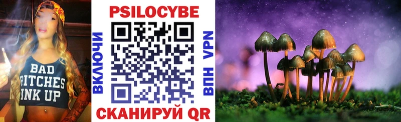 Псилоцибиновые грибы мицелий  наркотики  Железногорск 